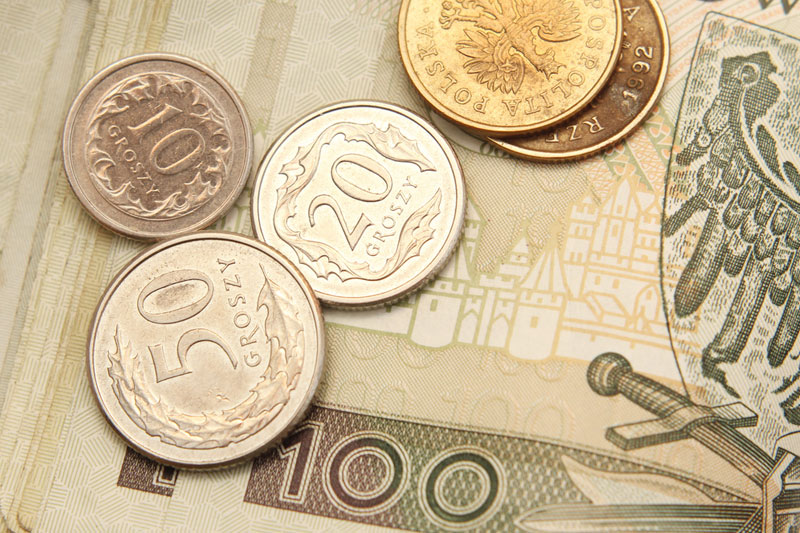 229a2f145c52c1e70c05399026c98882_polish_zloty_1_800x533_L_1412063183.jpg